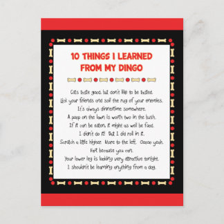 Funny Things I Learned From My Dingo Postcard