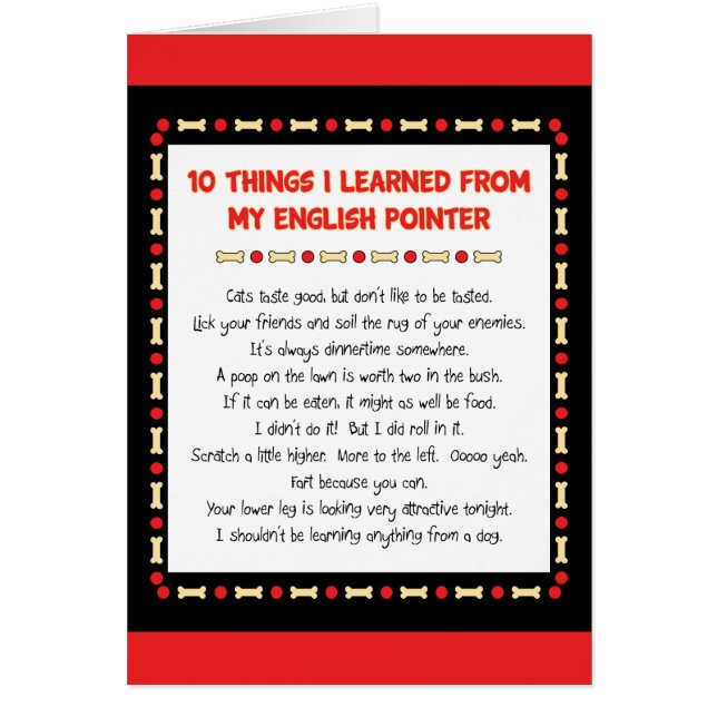 Funny Things I Learned From My English Pointer (Front)