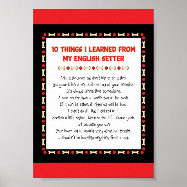Funny Things I Learned From My English Setter Poster (Front)
