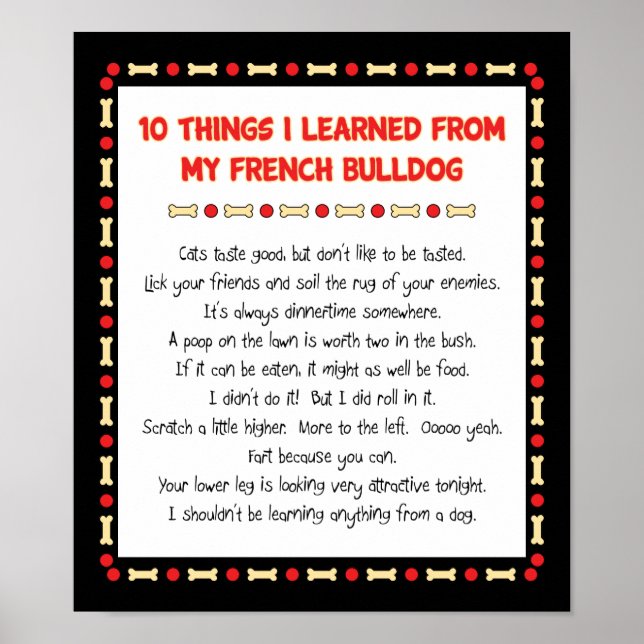 Funny Things I Learned From My French Bulldog Poster (Front)