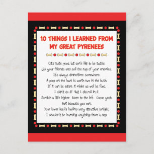 Funny Things I Learned From My Great Pyrenees Postcard
