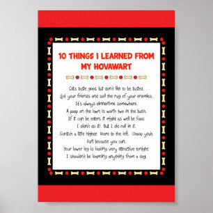 Funny Things I Learned From My Hovawart Poster