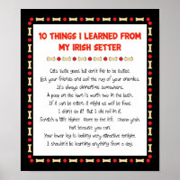 Funny Things I Learned From My Irish Setter