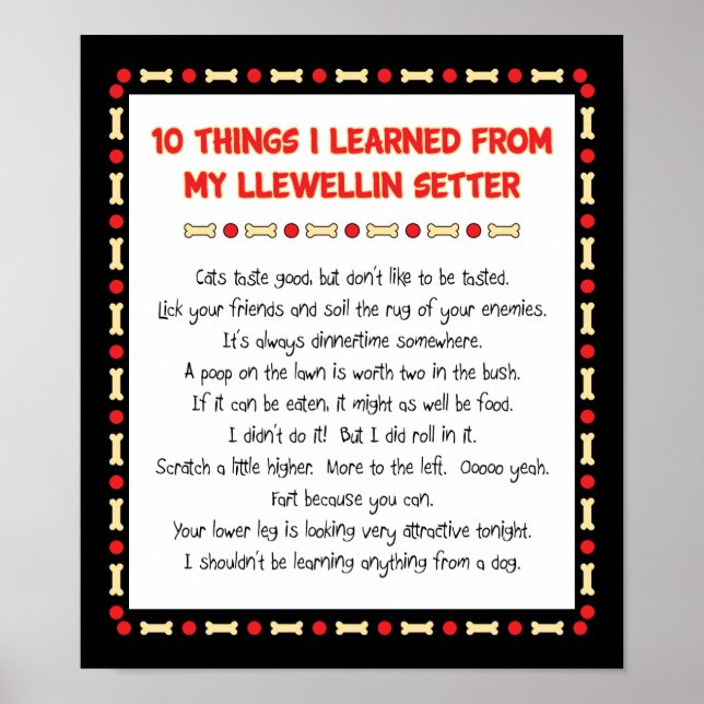Funny Things I Learned From My Llewellin Setter Poster (Front)