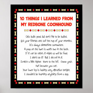 Funny Things I Learned From My Redbone Coonhound Poster