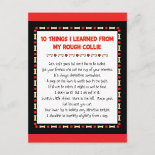 Funny Things I Learned From My Rough Collie Postcard
