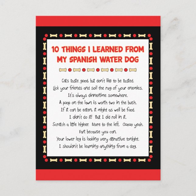 Funny Things I Learned From My Spanish Water Dog Postcard (Front)