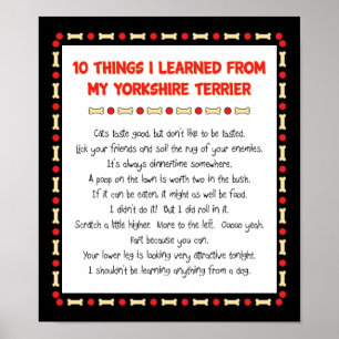 Funny Things I Learned From My Yorkshire Terrier Poster