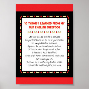 Funny Things I Learned From Old English Sheepdog Poster