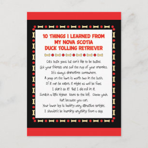 Funny Things Learned From Nova Scotia Duck Toller Postcard