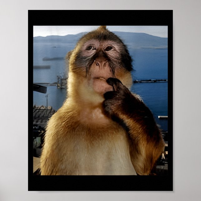 Funny Thinking Monkey Meme Curious Ape Brainrot Gi Poster (Front)