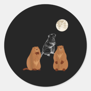 Funny Three Groundhog Moon Groundhog Day Men Women Classic Round Sticker