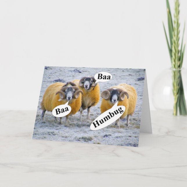Funny three wise sheep Christmas Holiday Card (Front)