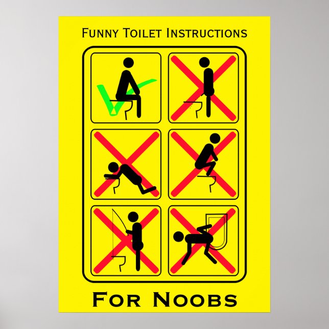 Funny Toilet Instructions Poster (Front)