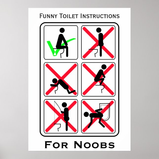 Funny Toilet Instructions White Poster (Front)