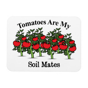 Funny Tomatoes Are My Soil Mates Magnet