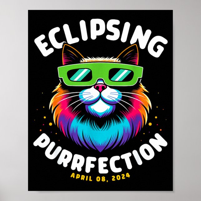 Funny Total Solar Eclipse Totality Astronomy Poster (Front)
