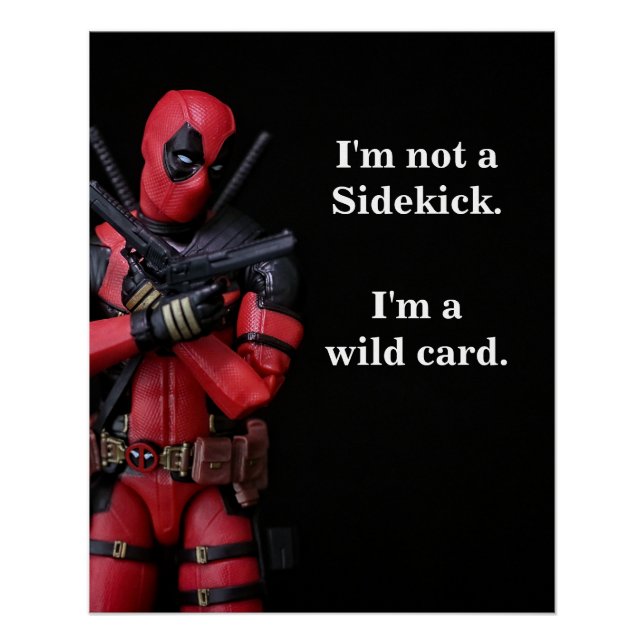 Funny Toy Photography Anti-Hero Poster (Front)