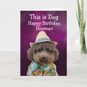 Funny toy poodle birthday card