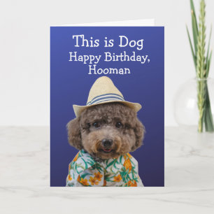 Funny toy poodle birthday card