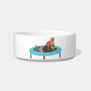 Funny Trampoline Cats Painting, Pet Dish