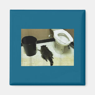 Funny Trashed Panda Drunk Racoon Magnet