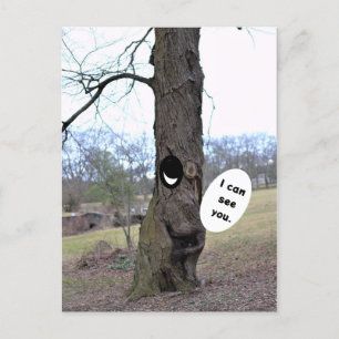 Funny Tree Photo Postcard 
