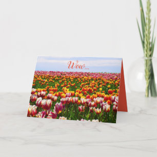 Funny, tulips, flowers, colourful, easter card