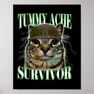Funny Tummy Ache Survivor Cat Meme Poster