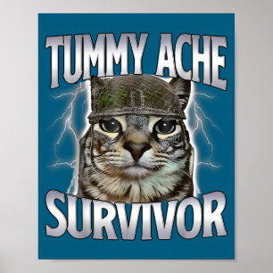 Funny Tummy Ache Survivor Cat Meme Poster