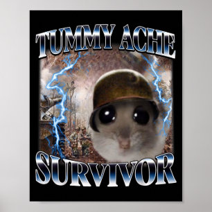 Funny Tummy Ache Survivor Hamster Meme Poster