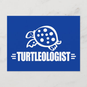 Funny Turtle Postcard