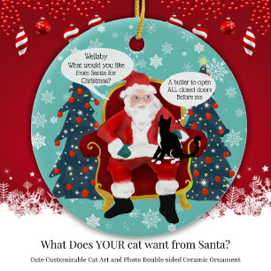 Funny Tuxedo Cat Christmas Wishes Custom Double Ceramic Tree Decoration