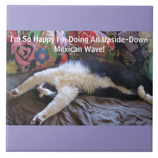Funny Tuxedo Cat Cute doing a Mexican Wave Magnet Tile (Front)