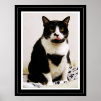 Funny Tuxedo Cat Poster