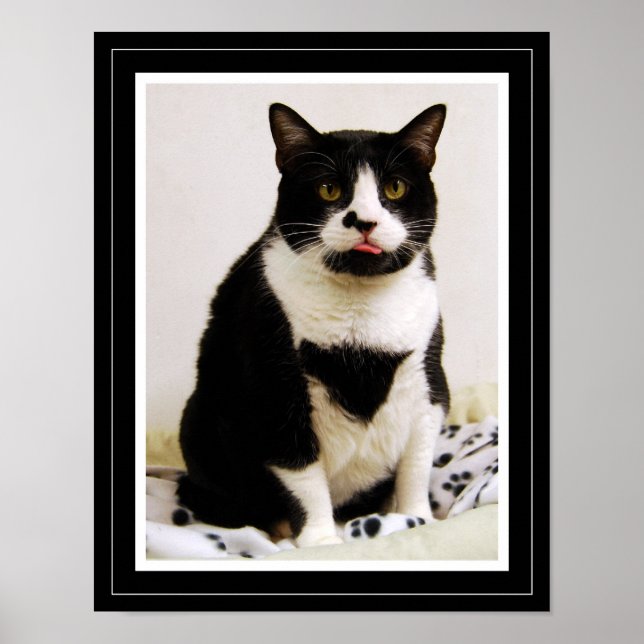 Funny Tuxedo Cat Poster (Front)
