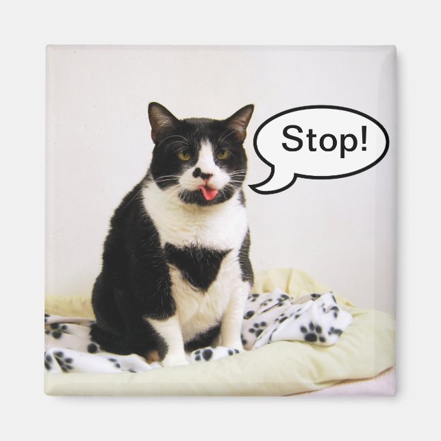 Funny Tuxedo Cat "Stop!" Magnet (Front)