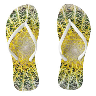 Funny Uncomfortable Globe Cactus Botanical Photo Jandals