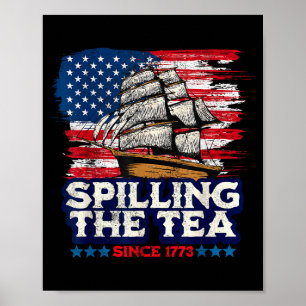 Funny Us History Teacher Boston Slling The Tea Sin Poster