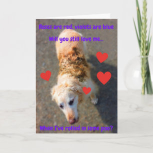 Funny Valentine Dog Rolled in... Card