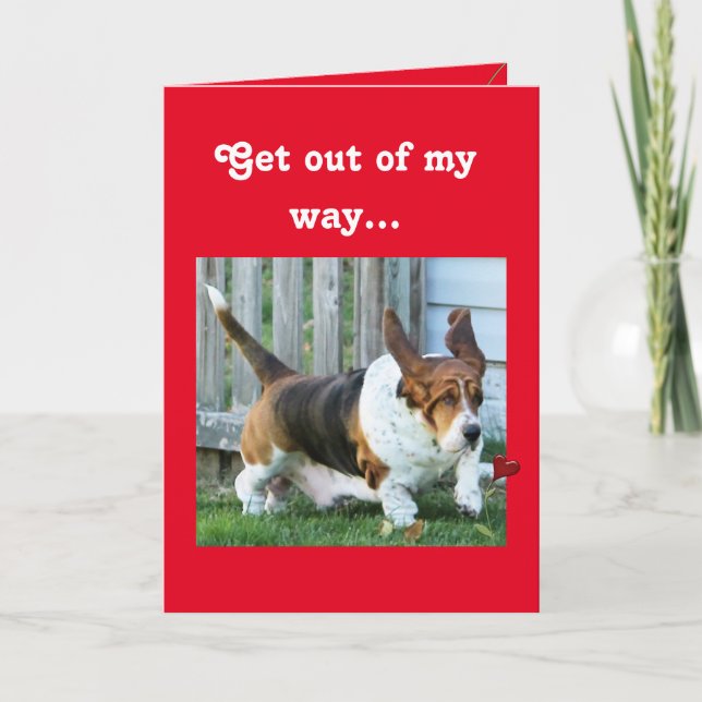 Funny Valentine with Basset Hound and Hearts Holiday Card (Front)