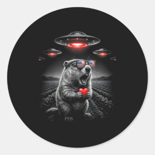 Funny Valentines Groundhog Selfie Alien Ufo Usa Fl Classic Round Sticker