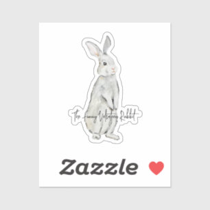 Funny velvet rabbit 