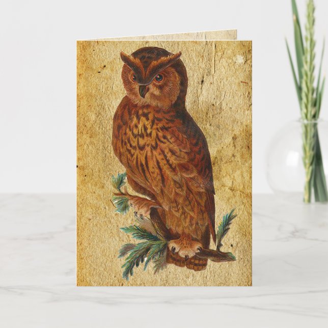 Funny Vintage Owl Birthday Card (Front)