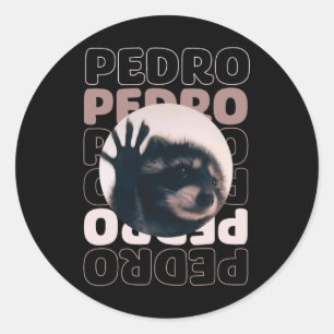 Funny Viral Pedro Dancing Racoon Meme Pedro  Classic Round Sticker