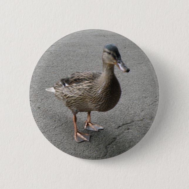 Funny Waddling Duck Button (Front)