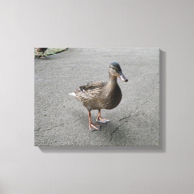 Funny Waddling Duck Canvas Print (Front)