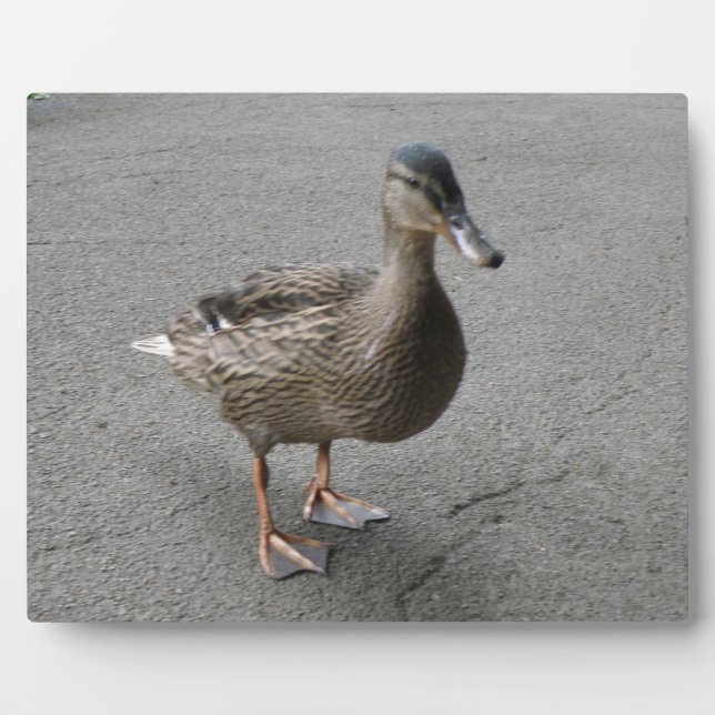Funny Waddling Duck Plaque (Front)