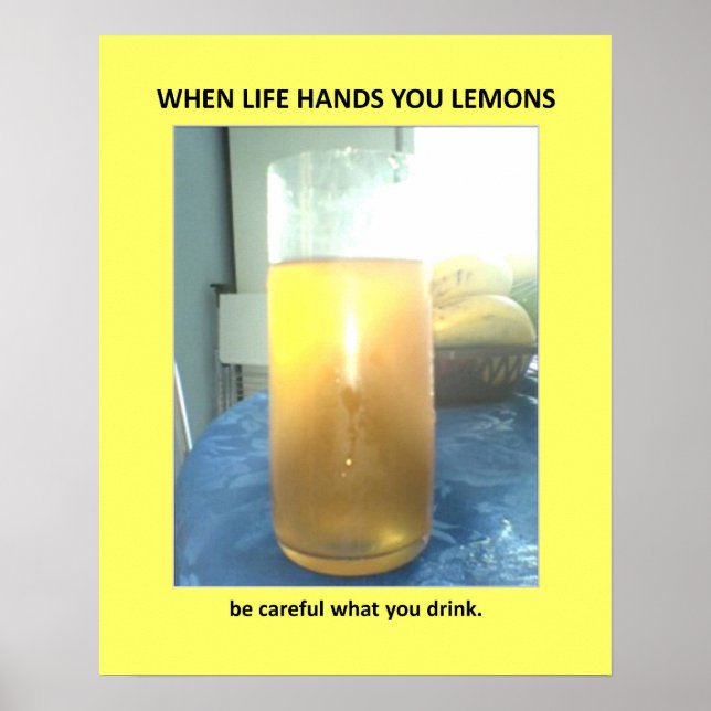 Funny Warning Veiled Bathroom Humour Poster (Front)