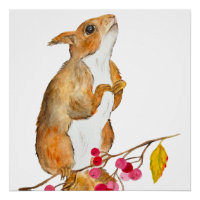 Funny watercolor squirrel on a branch with berries